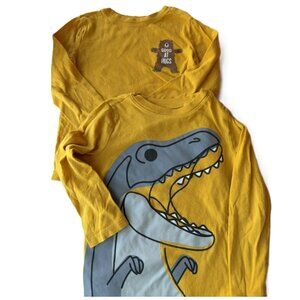 Boy's S/2, 5T Long-sleeve Graphic T-Shirts Springtime Yellow Bear Hugs + Dino